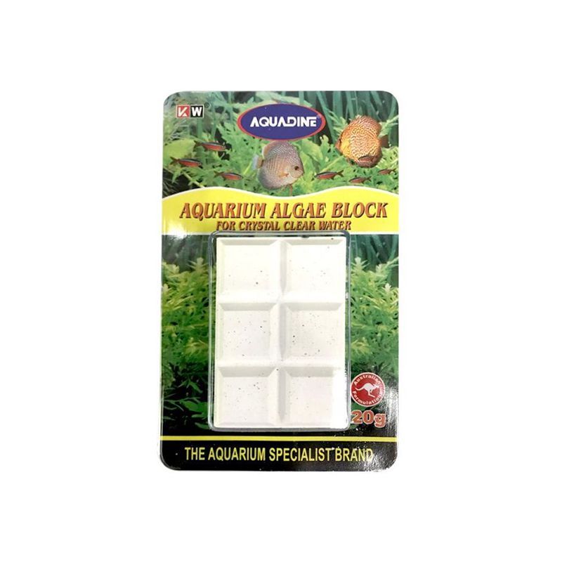 Aquarium Algae Blocks for Sale South Africa | RSB Aquatics