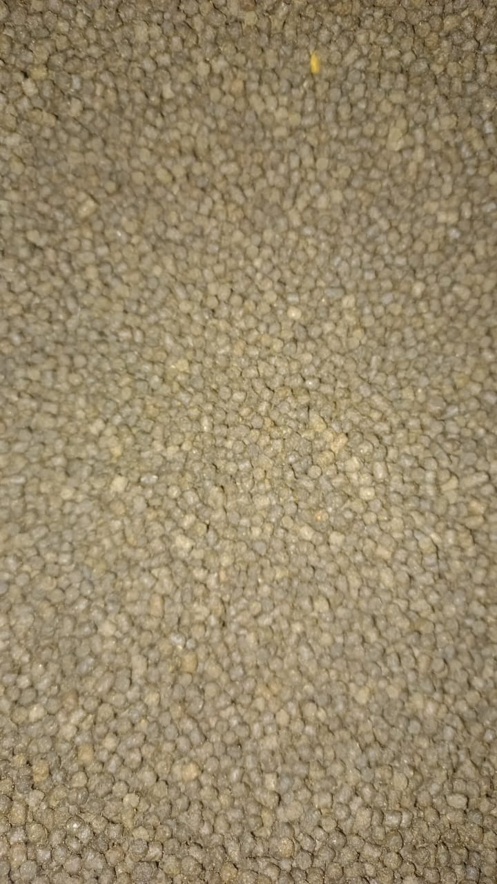 Gene 5 predator 3mm