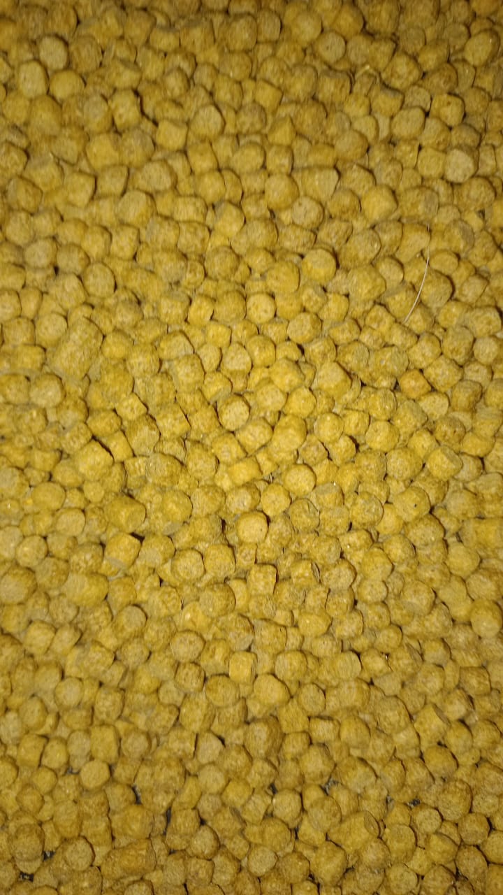 Gene 5 Brine Shrimp Pellets 4mm for Sale South Africa | RSB Aquatics