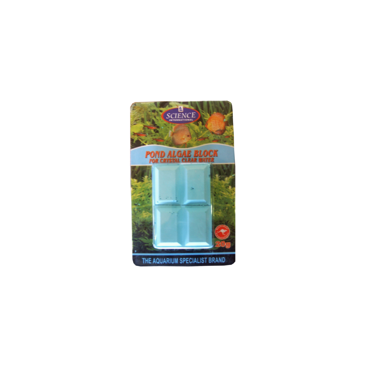 Pond Algae Block 20g – Treats 800l Water for Sale South Africa | RSB Aquatics
