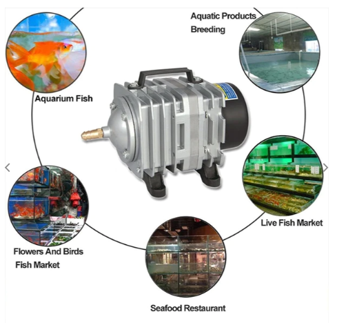 Air Compressors for Sale South Africa | RSB Aquatics