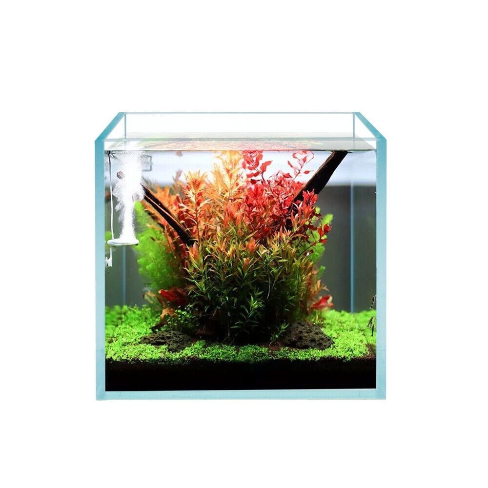 Aquarium All Glass Tank for Sale South Africa | RSB Aquatics