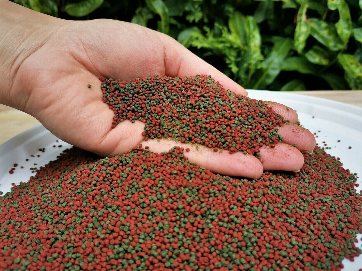 Floating Pond Pellets for Sale South Africa | RSB Aquatics