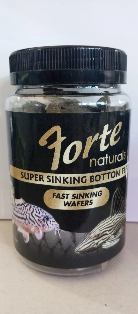 Forte Sinking Bottom Feeder Food for Sale South Africa | RSB Aquatics