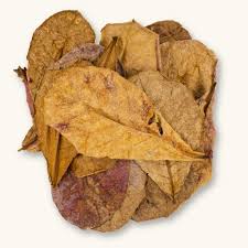 Almond Leaves (5pcs)