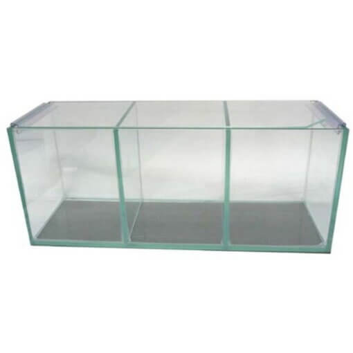 Compartment Tanks for Sale South Africa | RSB Aquatics