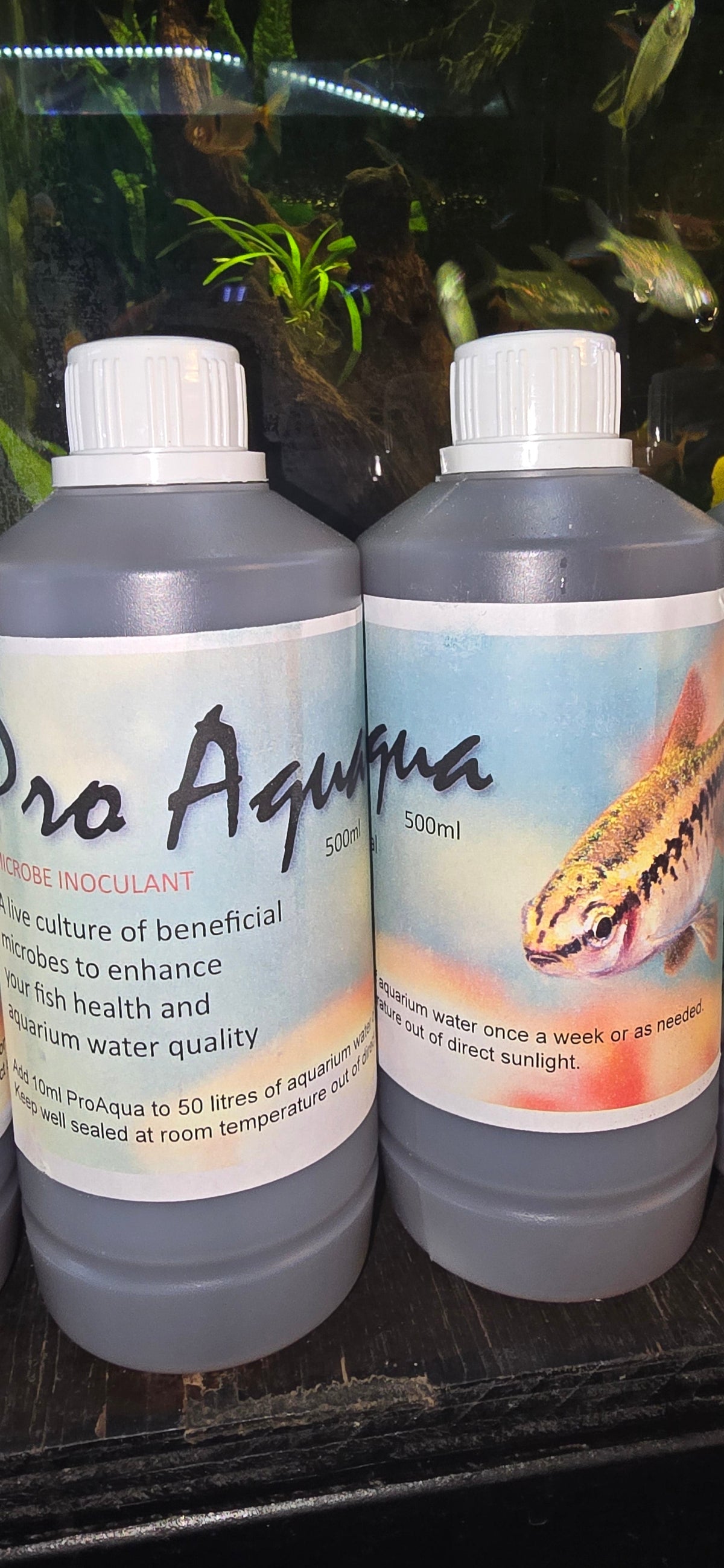 Bacteria Start Up Proaqua for Sale South Africa | RSB Aquatics