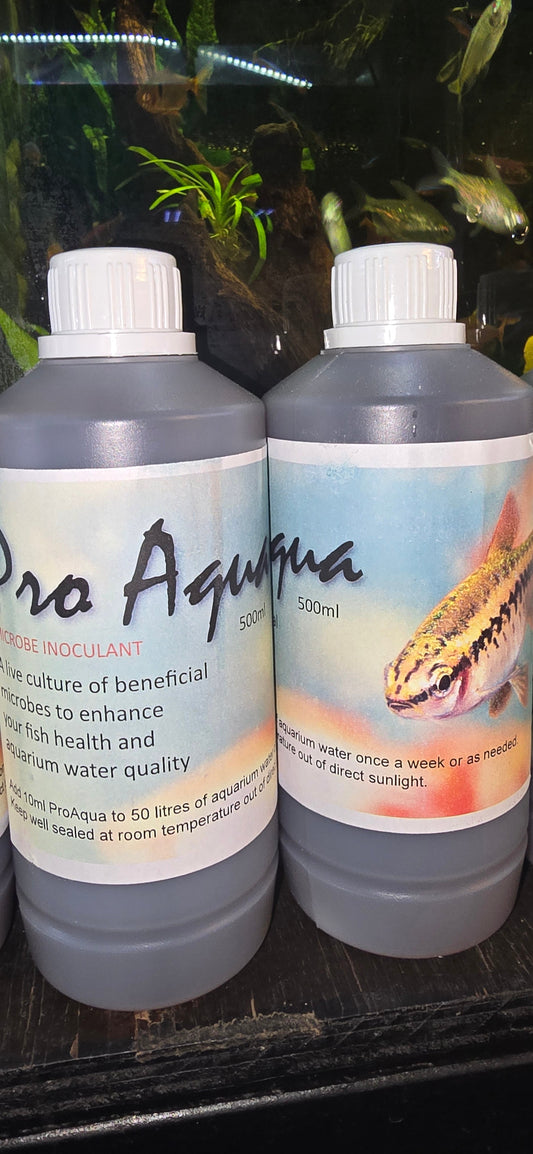 Bacteria Start Up Proaqua for Sale South Africa | RSB Aquatics